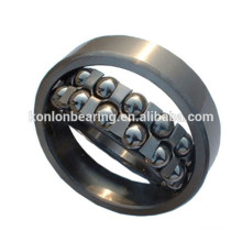 China stainless steel double row self-aligning ball bearing ss1200 ball bearing